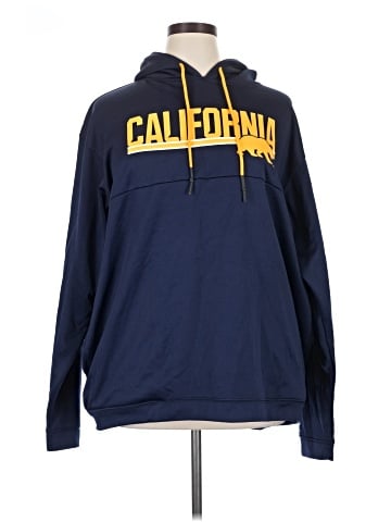 Champion Pullover Hoodie (view 1)