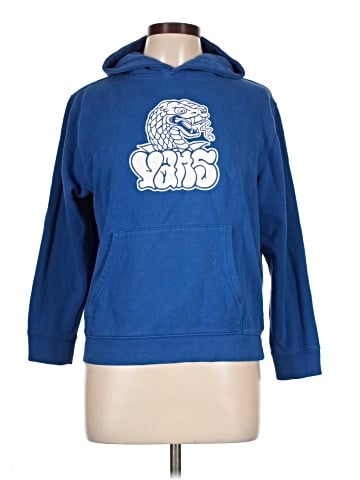 Vans Pullover Hoodie (view 1)