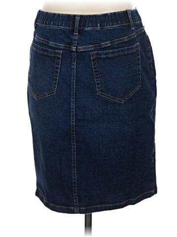 J.Jill Denim Skirt (view 2)