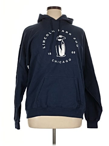 Hanes Pullover Hoodie (view 1)