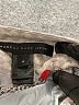 Marc by Marc Jacobs Argyle Gray Jacket Size 4 - photo 6
