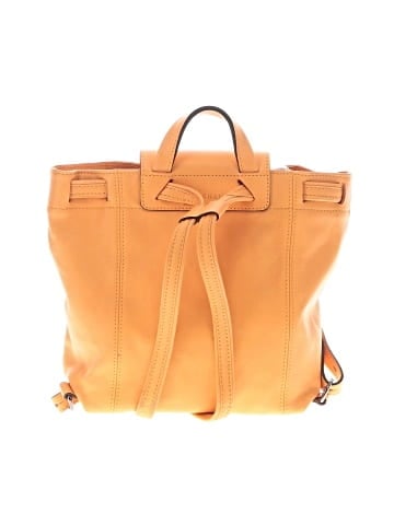Longchamp Backpack (view 2)