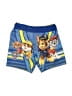 Nickelodeon 100% Polyester Blue Board Shorts Size 4T - photo 1