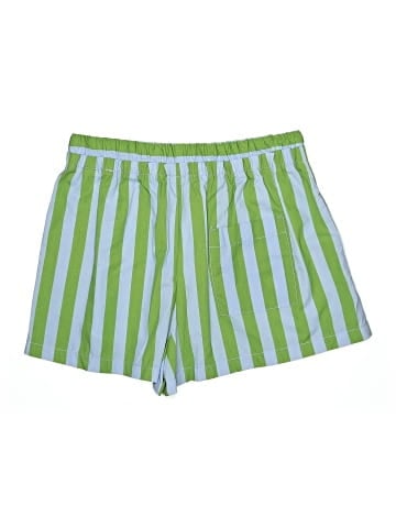 Zara Shorts (view 2)