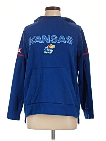 Adidas Pullover Hoodie (view 1)