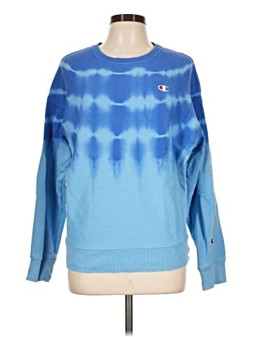Champion Sweatshirt (view 1)