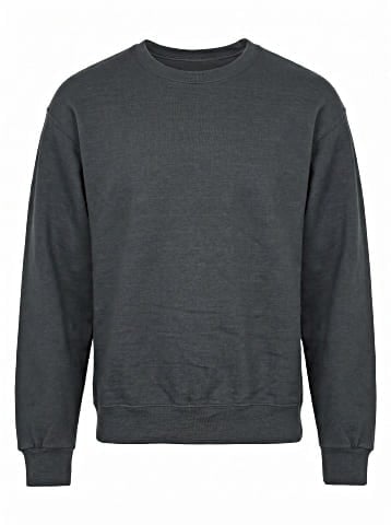 Jerzees Sweatshirt (view 1)