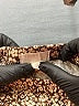 Btween Print Brown Casual Pants 18-24 MO / 24 MO - photo 3