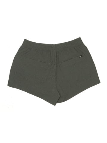 PrAna Shorts (view 2)