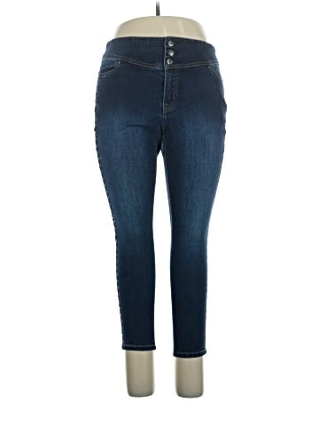 Lane Bryant Jeggings (view 1)