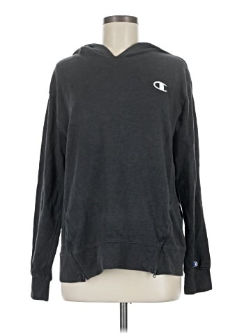 Champion Pullover Hoodie (view 1)