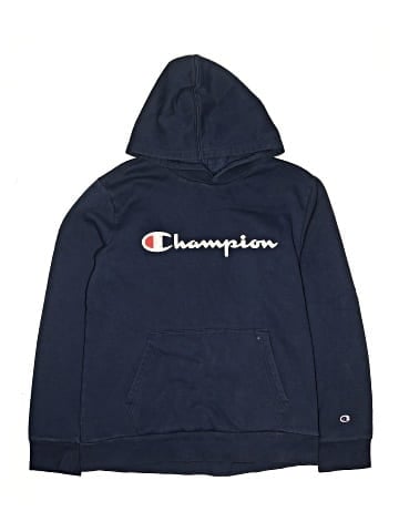 Champion Pullover Hoodie (view 1)