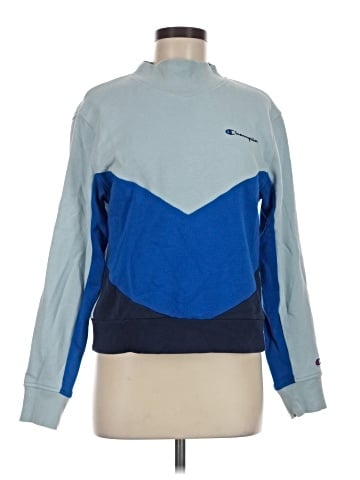 Champion Sweatshirt (view 1)