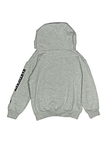 Champion Sweatshirt (view 2)