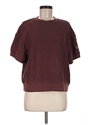 Champion Sweatshirt (view 1)