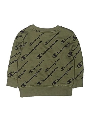 Champion Sweatshirt (view 2)