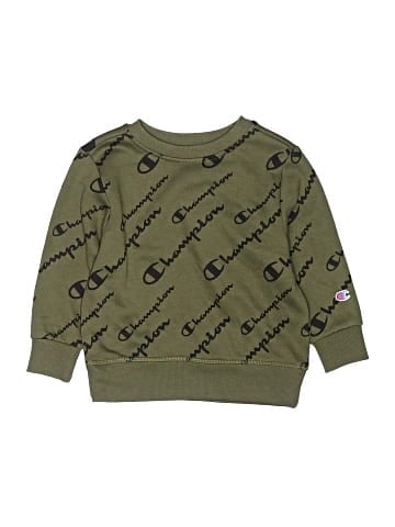 Champion Sweatshirt (view 1)