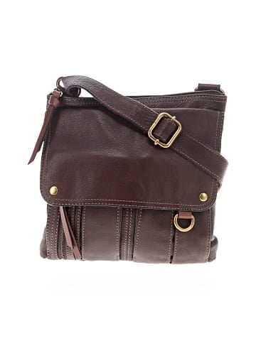 Fossil Messenger (view 1)