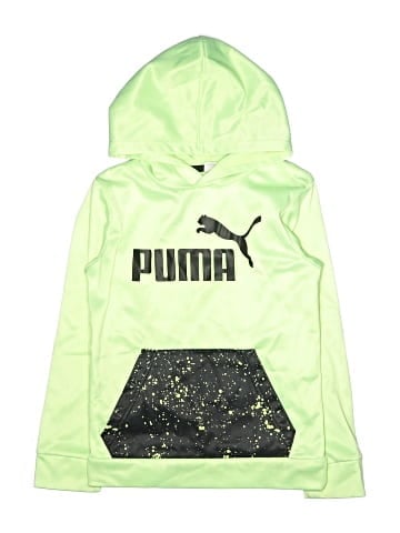 Puma Pullover Hoodie (view 1)