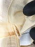 Hinge 100% Cotton Ivory Jacket Size S - photo 4