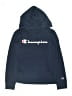 Champion Blue Pullover Hoodie Size L (kids) - photo 1