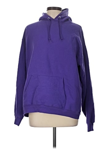 Hanes Pullover Hoodie (view 1)