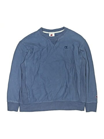 Champion Sweatshirt (view 1)