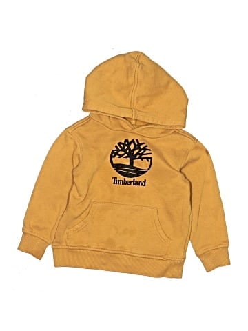 Timberland Pullover Hoodie (view 1)