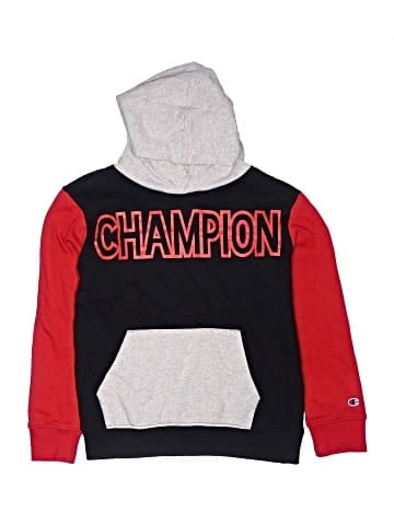 Champion Pullover Hoodie (view 1)