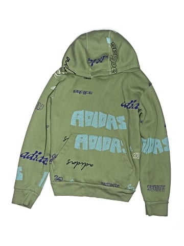 Adidas Pullover Hoodie (view 1)