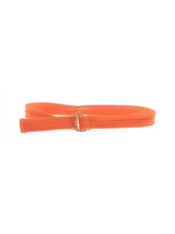 Unbranded Belt (view 1)