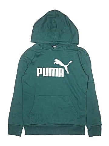 Puma Pullover Hoodie (view 1)
