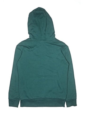 Puma Pullover Hoodie (view 2)