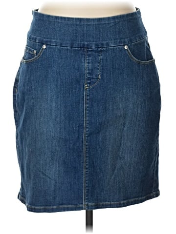 Jag Jeans Denim Skirt (view 1)