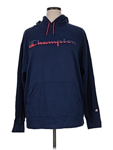 Champion Pullover Hoodie (view 1)