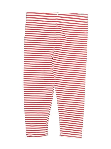 Rae Dunn Leggings (view 1)