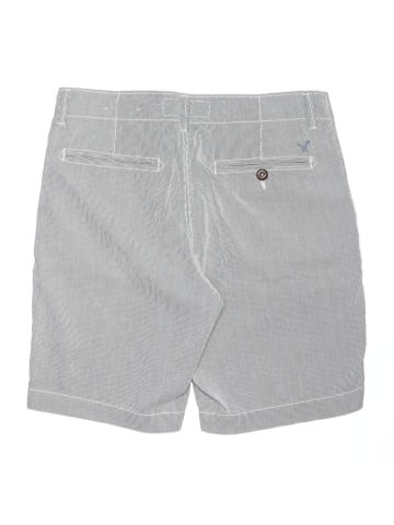 American Eagle Outfitters Shorts (view 2)