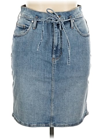 Jag Denim Skirt (view 1)