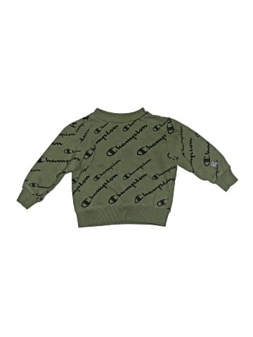 Champion Pullover Sweater (view 1)