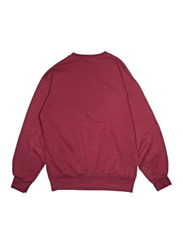 Hanes Sweatshirt (view 2)