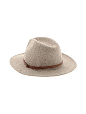 Unbranded Fedora (view 1)