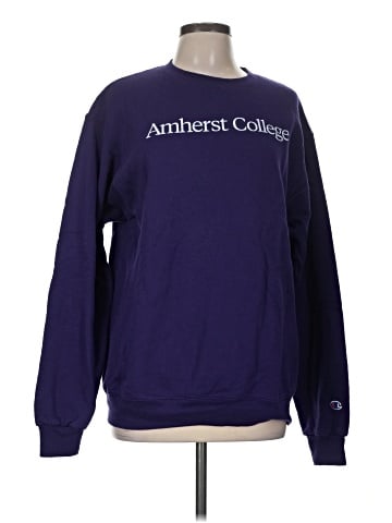 Champion Sweatshirt (view 1)