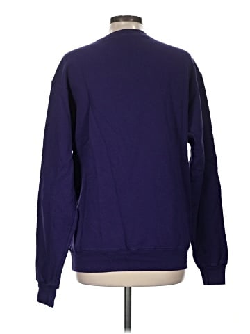 Champion Sweatshirt (view 2)