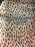 Athleta Animal Print Brown Active Pants Size L - photo 7