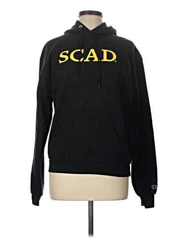 Champion Pullover Hoodie (view 1)