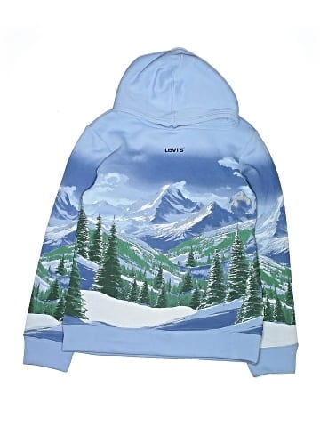 Levi's Pullover Hoodie (view 1)