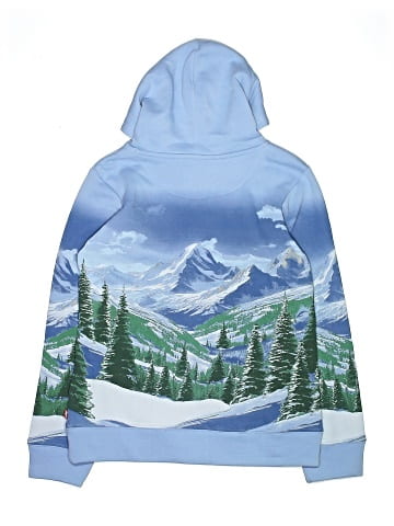 Levi's Pullover Hoodie (view 2)