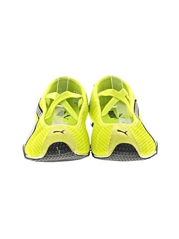 Puma Flats (view 2)