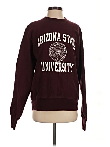 Champion Sweatshirt (view 1)