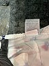 Bcg 100% Polyester Stars White Athletic Shorts Size S - photo 4